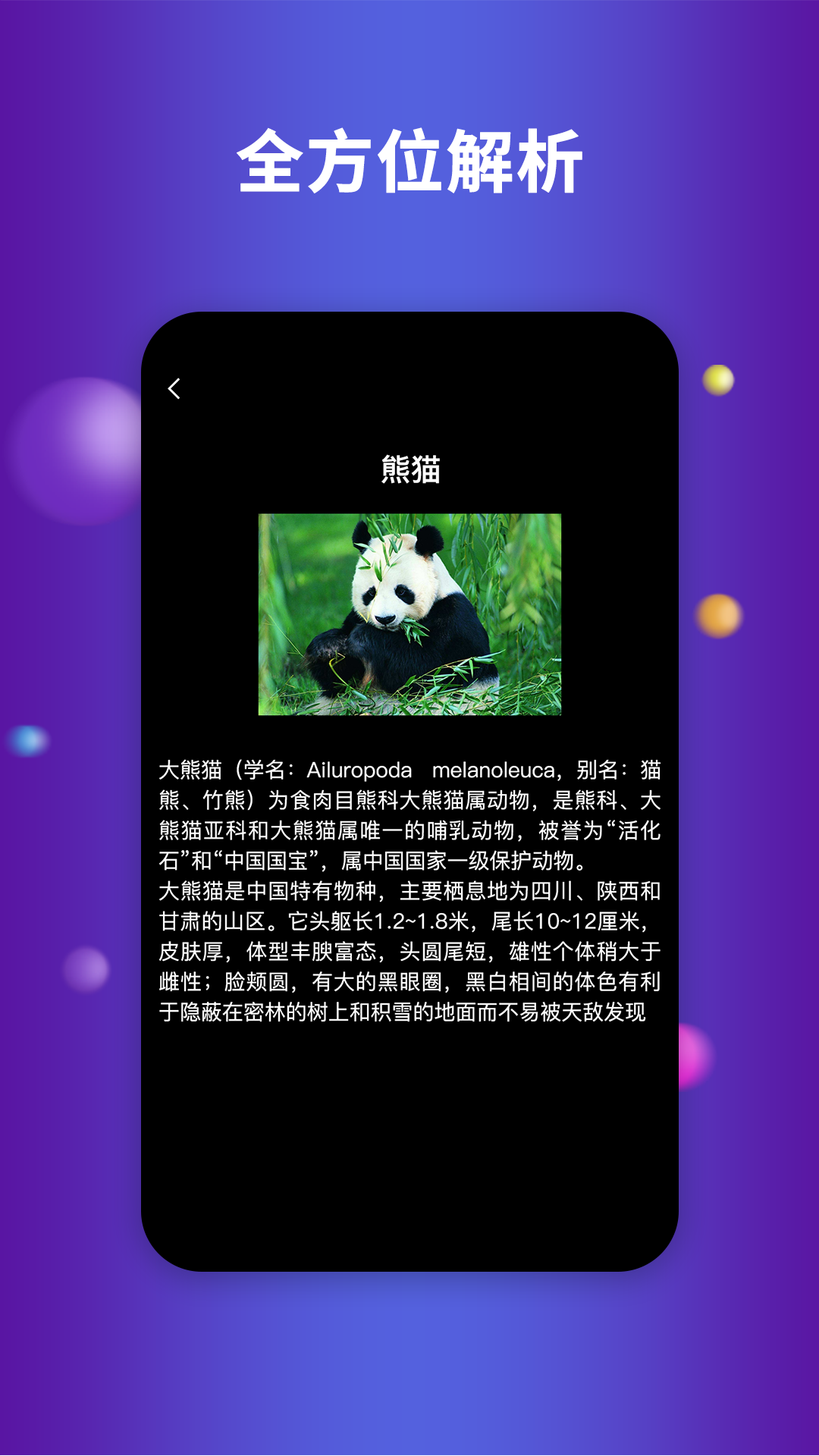 earth地球最新版截图2