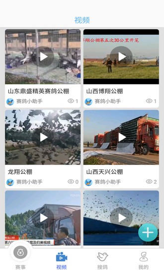 赛鸽助手软件截图2