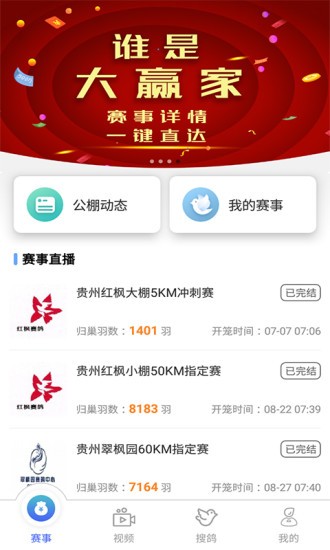 赛鸽助手软件截图0
