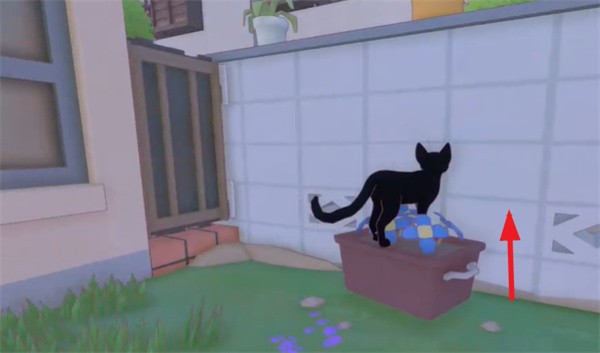 小猫咪大城市