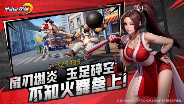 全明星觉醒版截图1