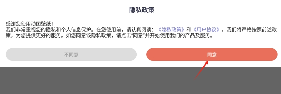 动图壁纸