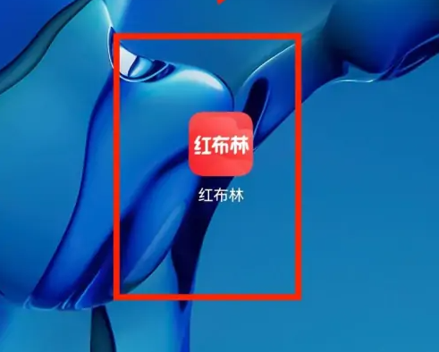 红布林二手平台