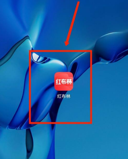 红布林二手平台