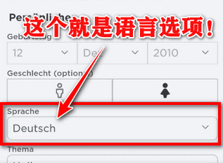 罗布乐思正版