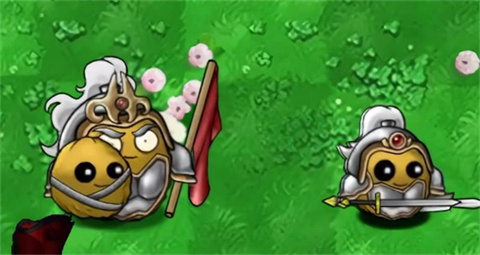 植物大战僵尸共生版