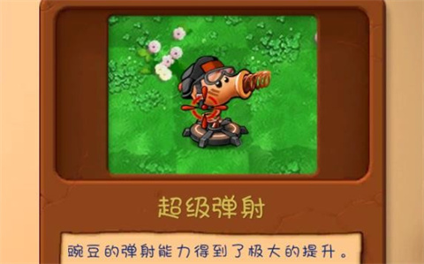 植物大战僵尸共生版