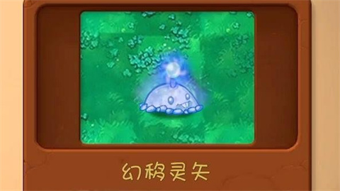 植物大战僵尸共生版