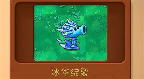 植物大战僵尸共生版