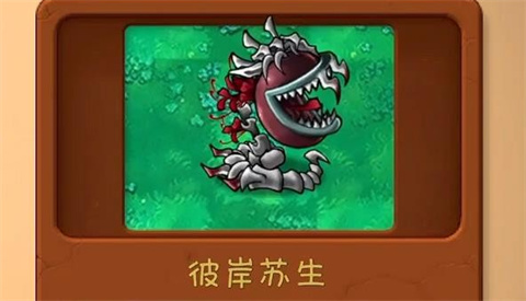 植物大战僵尸共生版