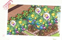 梦境食旅餐馆场景攻略介绍