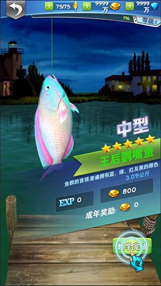 全民钓鱼2