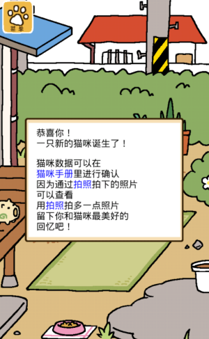 猫咪后院2安卓版