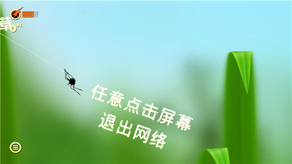 蜘蛛冒险