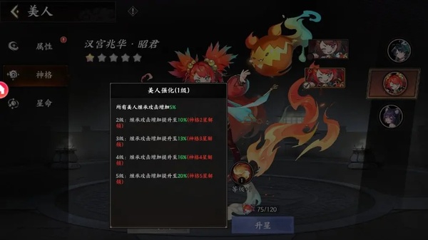 征服与荣耀正版