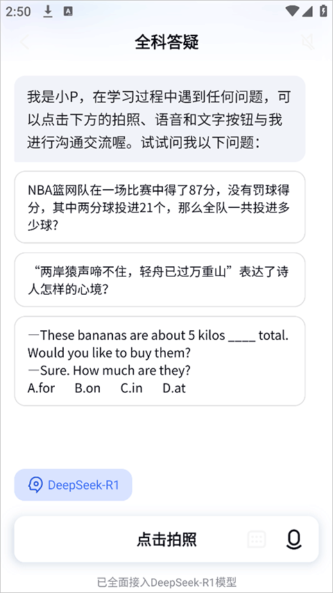 有道小p