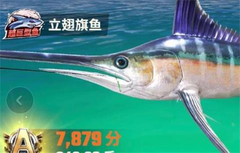 欢乐钓鱼大师