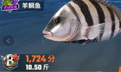 欢乐钓鱼大师