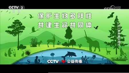 柠檬tv最新版截图4