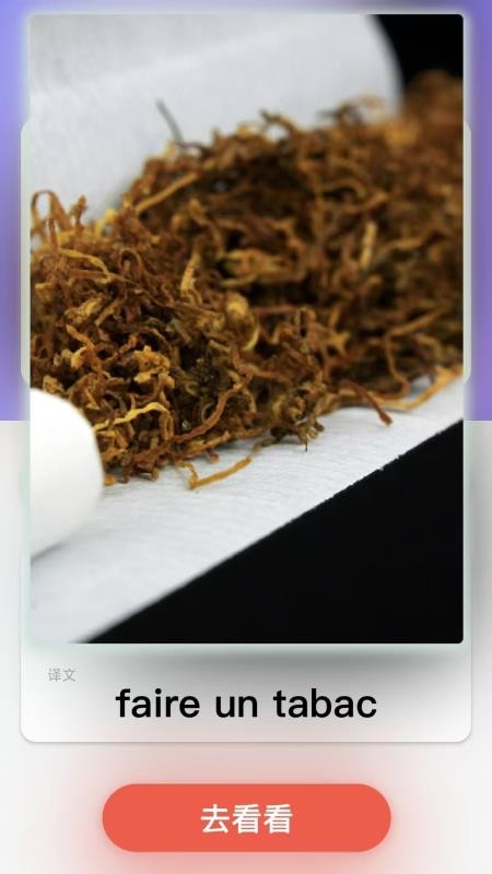 西班牙语翻译手机版截图3