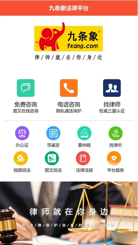 九条象截图3