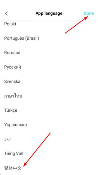 CapCut