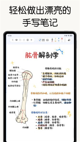 自由笔记正版截图0