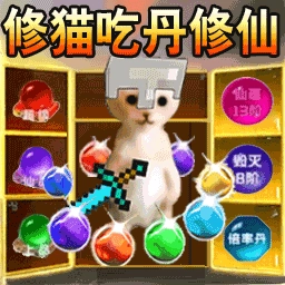 哈基米摸金