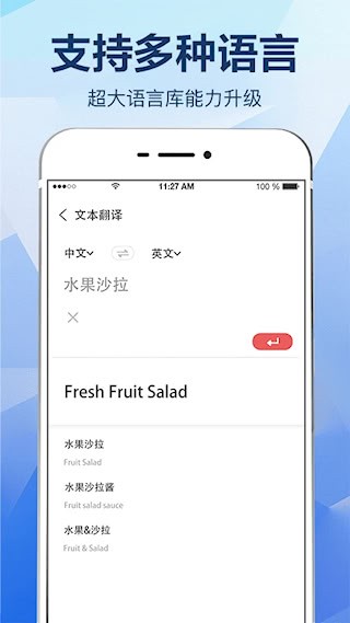 拍照翻译大全安卓版截图4
