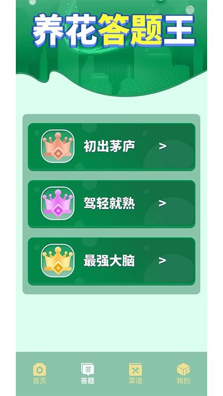 摆花齐放乐趣无限截图2