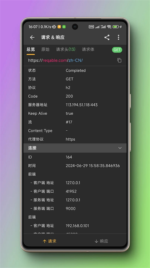 Reqable安卓版截图1