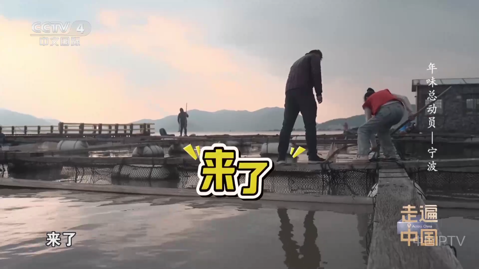 网络电视TV版截图0