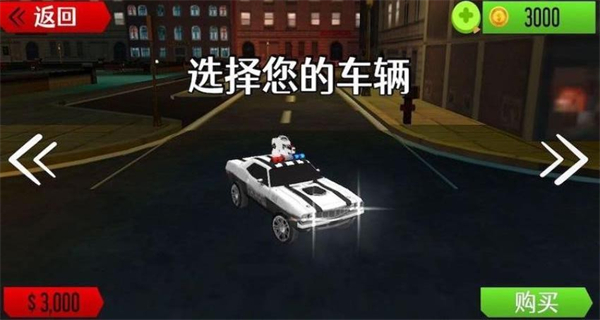 城市警车巡逻模拟截图2