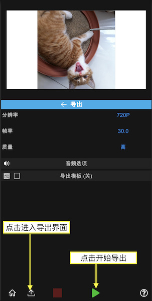 nodevideo专业免费
