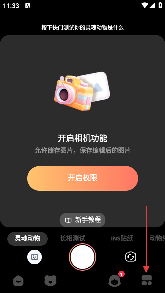 灵魂宠物