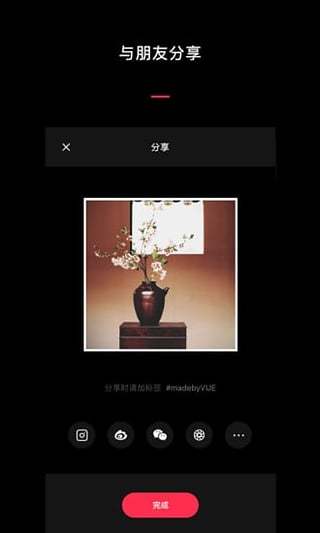 VUE手机版截图1