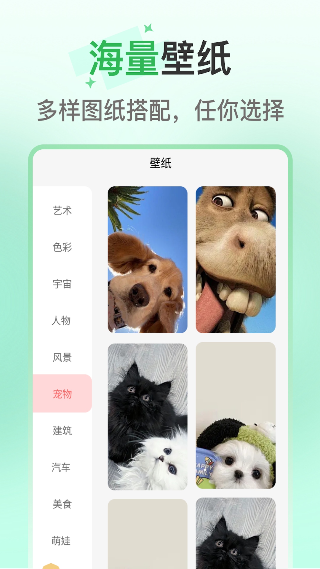 绚泽壁纸截图1