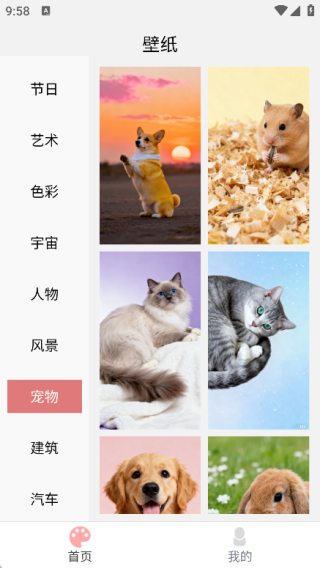 绚泽壁纸