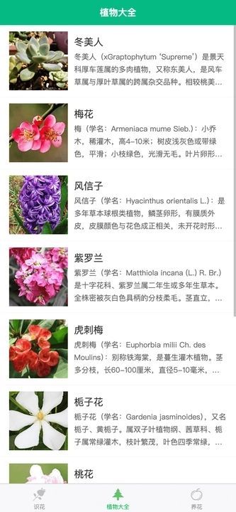 竹馨时光吧截图0