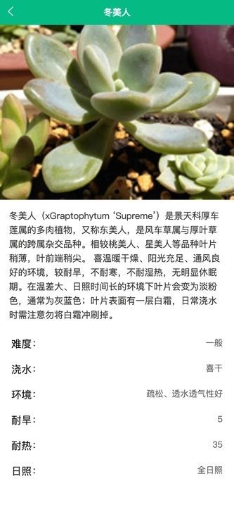 竹馨时光吧截图3