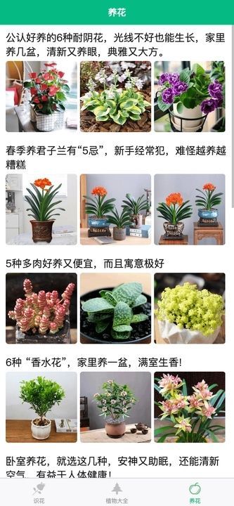 竹馨时光吧截图2