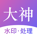 大神水印会员解锁版