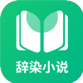 辞染小说免费版