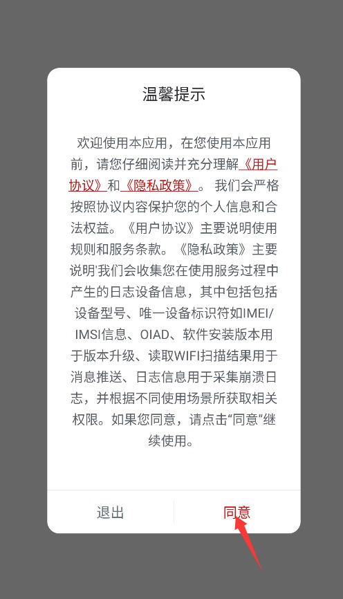笨熊精灵