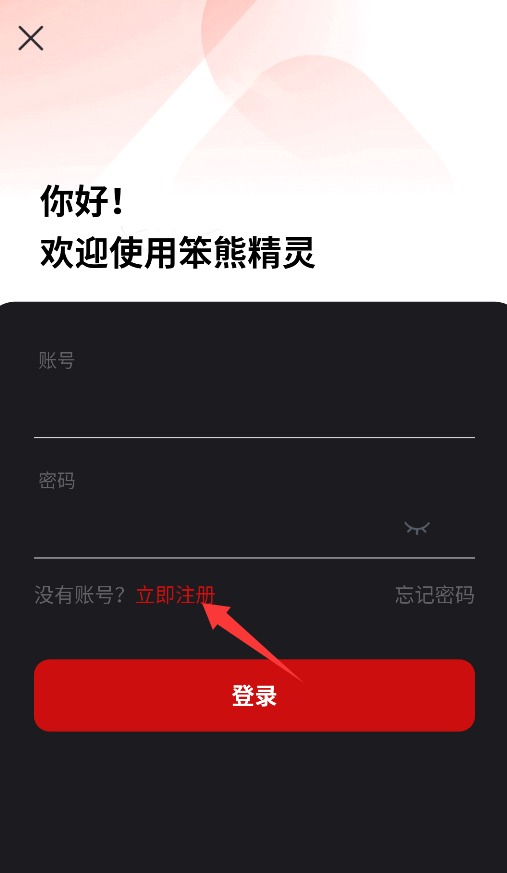 笨熊精灵
