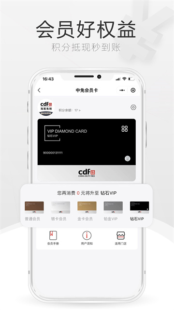 中免海南截图2