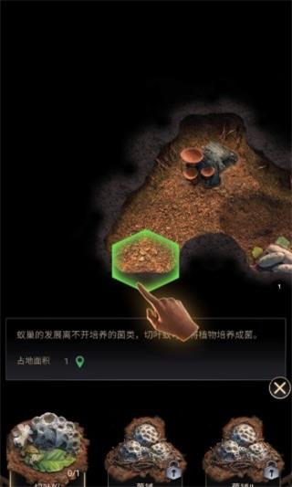 蚂蚁地下王国手机版