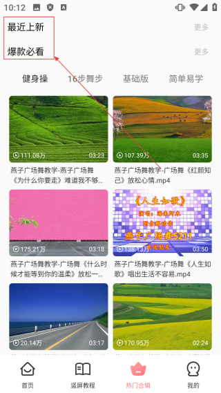 广场舞大全中老年人