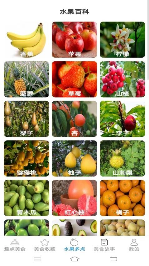 趣点美食截图2