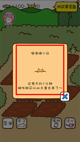 猫咪田园正版